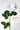 Flowers Deadstock Drop: #10 Snow Drop