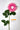 Flowers Deadstock Drop: #11 Bleeding Heart