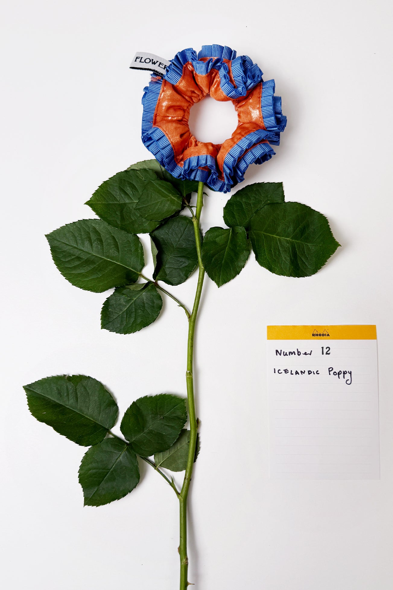 Flowers Deadstock Drop: #12 Icelandic Poppy