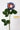 Flowers Deadstock Drop: #12 Icelandic Poppy