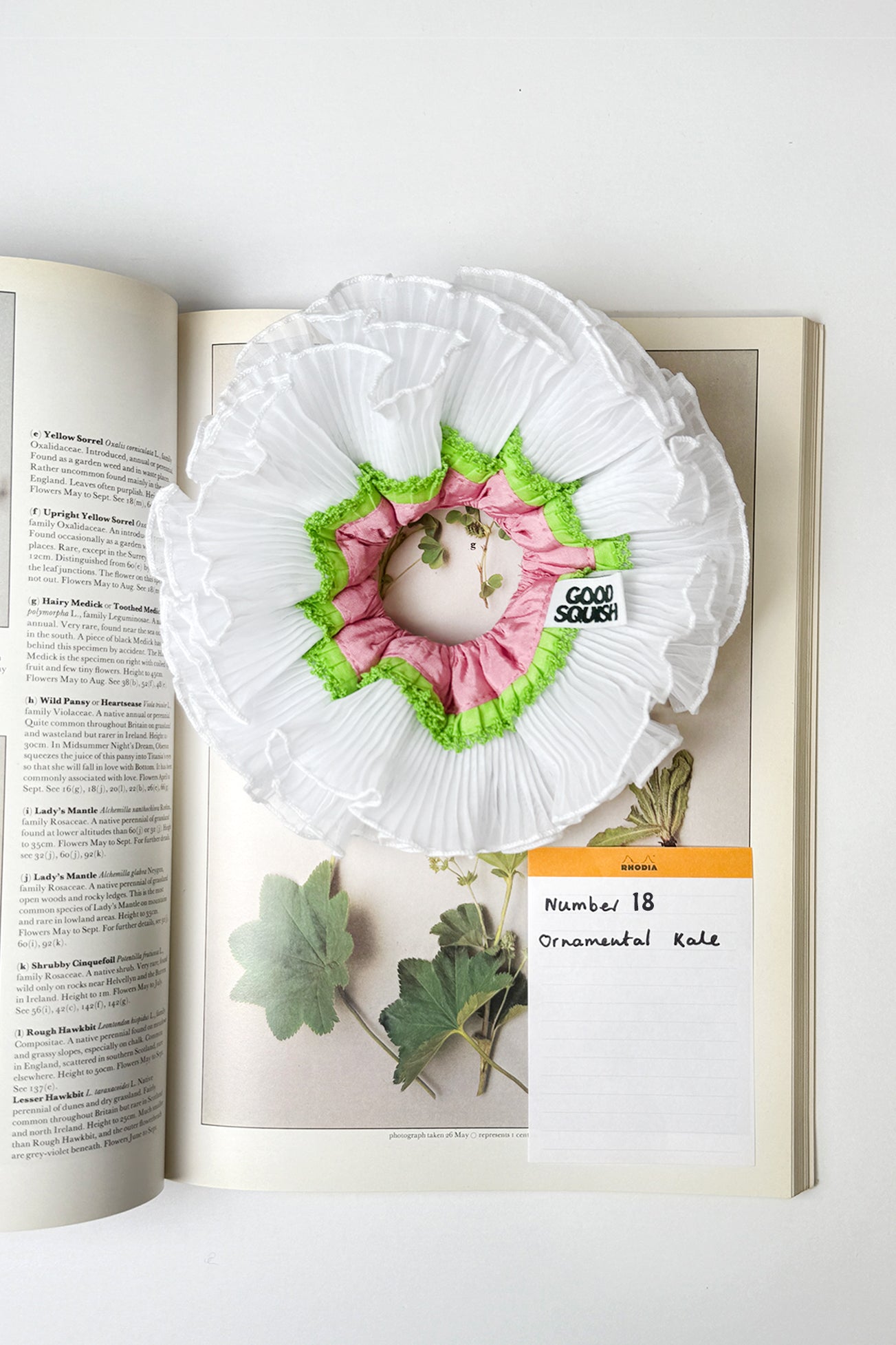 Flowers Deadstock Drop: #18 Ornamental Kale