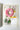 Flowers Deadstock Drop: #19 Balloon Flower