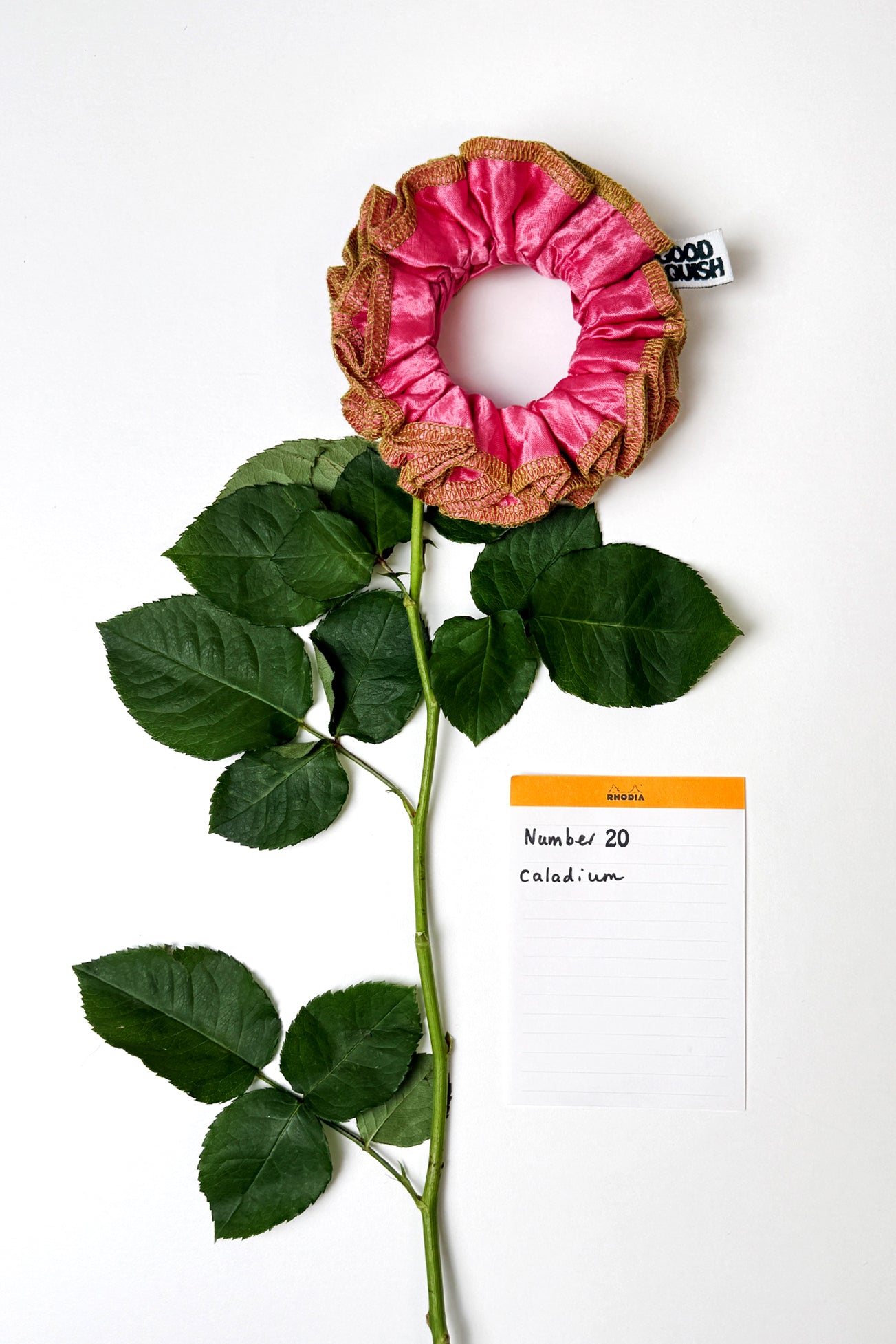 Flowers Deadstock Drop: #20 Caladium