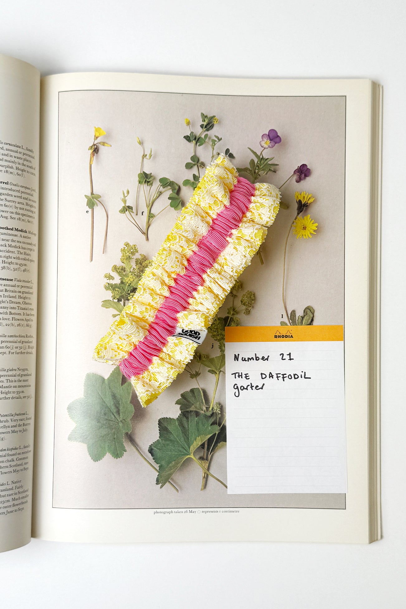 Flowers Deadstock Drop: #21 The Daffodil Garter