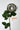 Flowers Deadstock Drop: #22 Gardania