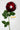 Flowers Deadstock Drop: #23 Blooming Love