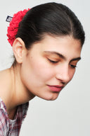 Badlands Red Silk