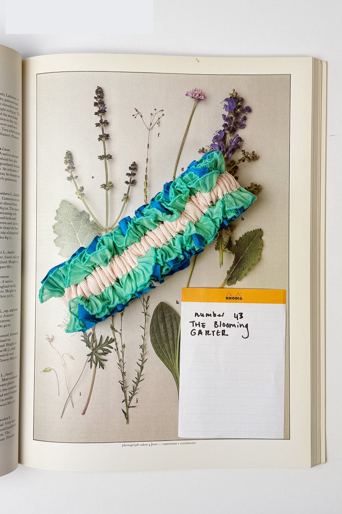 Flowers Deadstock Drop: #25 The Blooming Garter