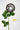 Flowers Deadstock Drop: #26 Hellabore