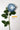 Flowers Deadstock Drop: #28 Ovbs Not A Flower