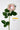 Flowers Deadstock Drop: #29 Flower