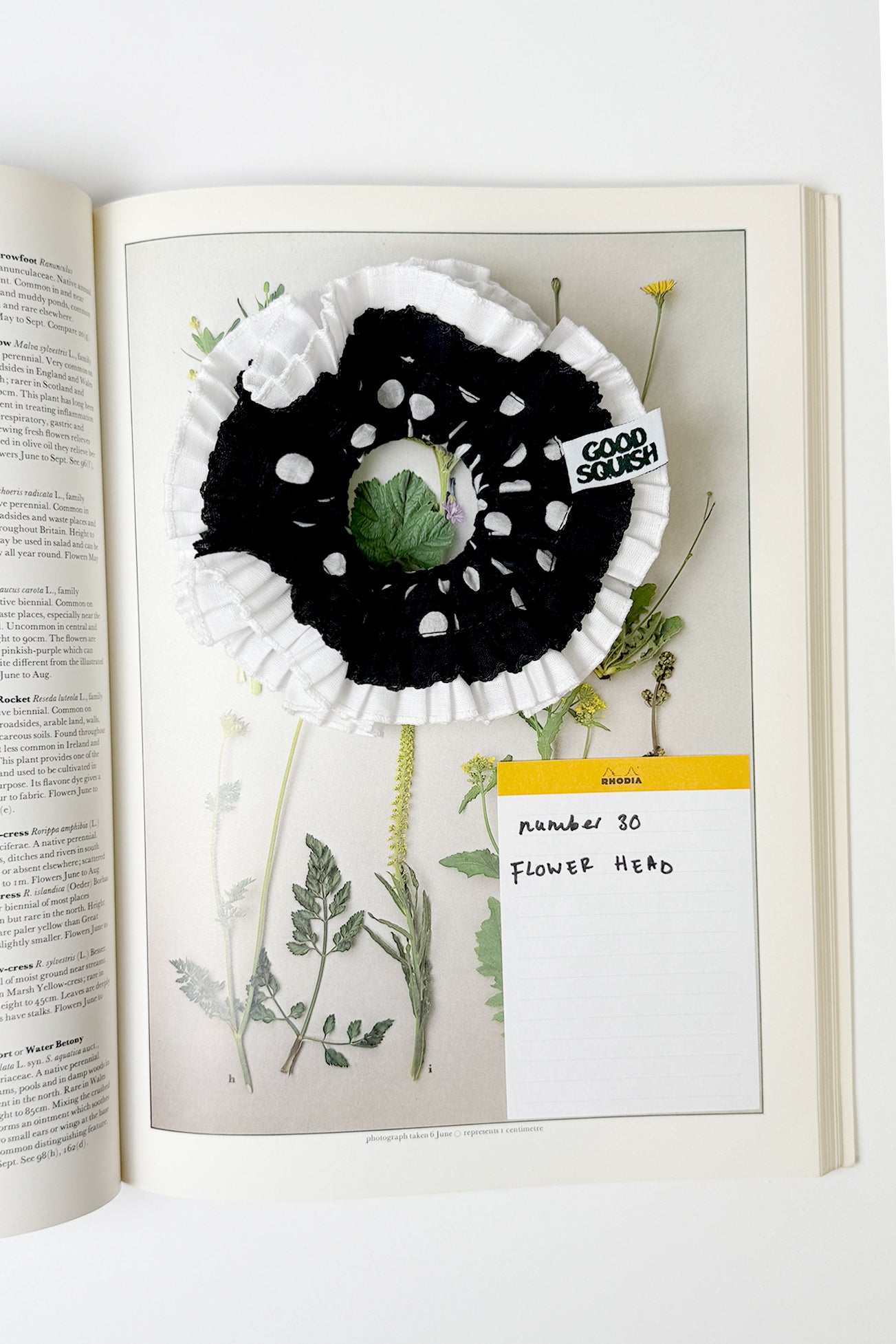 Flowers Deadstock Drop: #30 Flower Head
