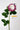 Flowers Deadstock Drop: #31 If Romance Was A Rose