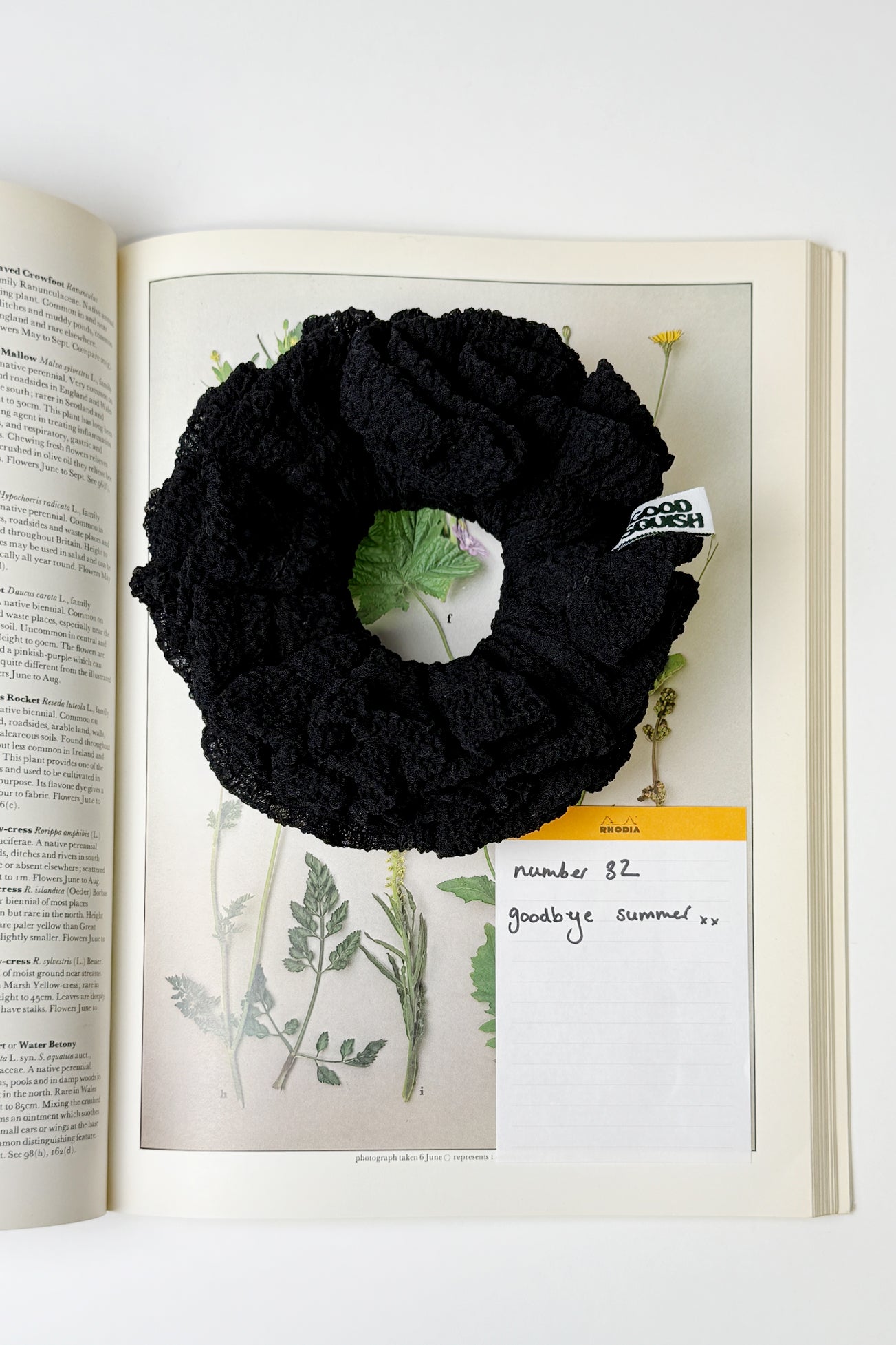Flowers Deadstock Drop: #32 Goodbye Summer