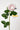 Flowers Deadstock Drop: #37 Spotted Flower
