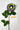 Flowers Deadstock Drop: #3 Pansy
