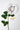 Flowers Deadstock Drop: #41 The Garden