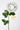 Flowers Deadstock Drop: #44 Hey You Buy Me Flowers