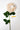 Flowers Deadstock Drop: #4 Dahlia