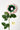 Flowers Deadstock Drop: #50 Bye Bye Blossom