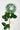 Flowers Deadstock Drop: #52 Sweet Baby Pea