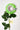Flowers Deadstock Drop: #53 Punk Flower Boy