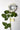 Flowers Deadstock Drop: #64 Wedding Flower