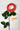 Flowers Deadstock Drop: #7 Tulip