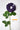Flowers Deadstock Drop: #8 Lavender