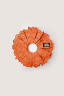 Blumberg Orange (Whimsical Upgrade)