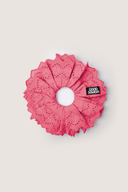 Blumberg Pink (Whimsical Upgrade)