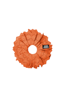 Blumberg Orange (Whimsical Upgrade)