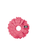Blumberg Pink (Whimsical Upgrade)