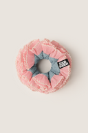 The Curious Kids: Georgia