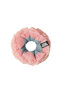 The Curious Kids: Georgia